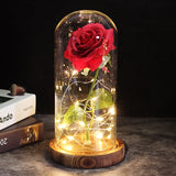 Eternal LED Rose Light